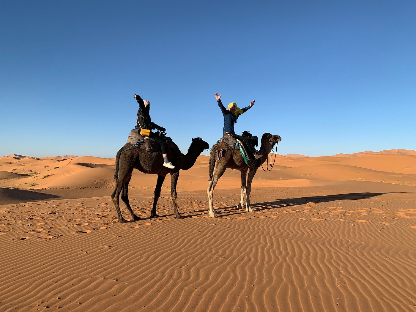 Morocco Camel Trekking
