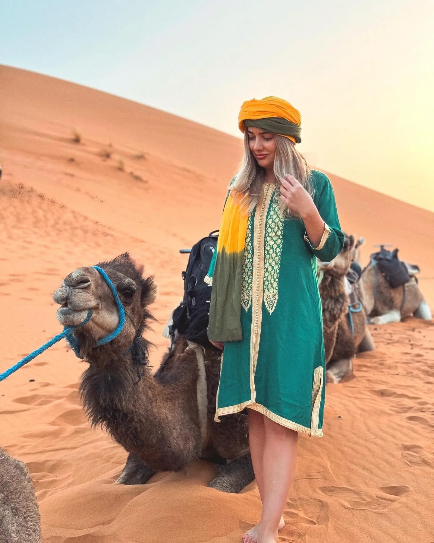 Gordon D Novak portrait