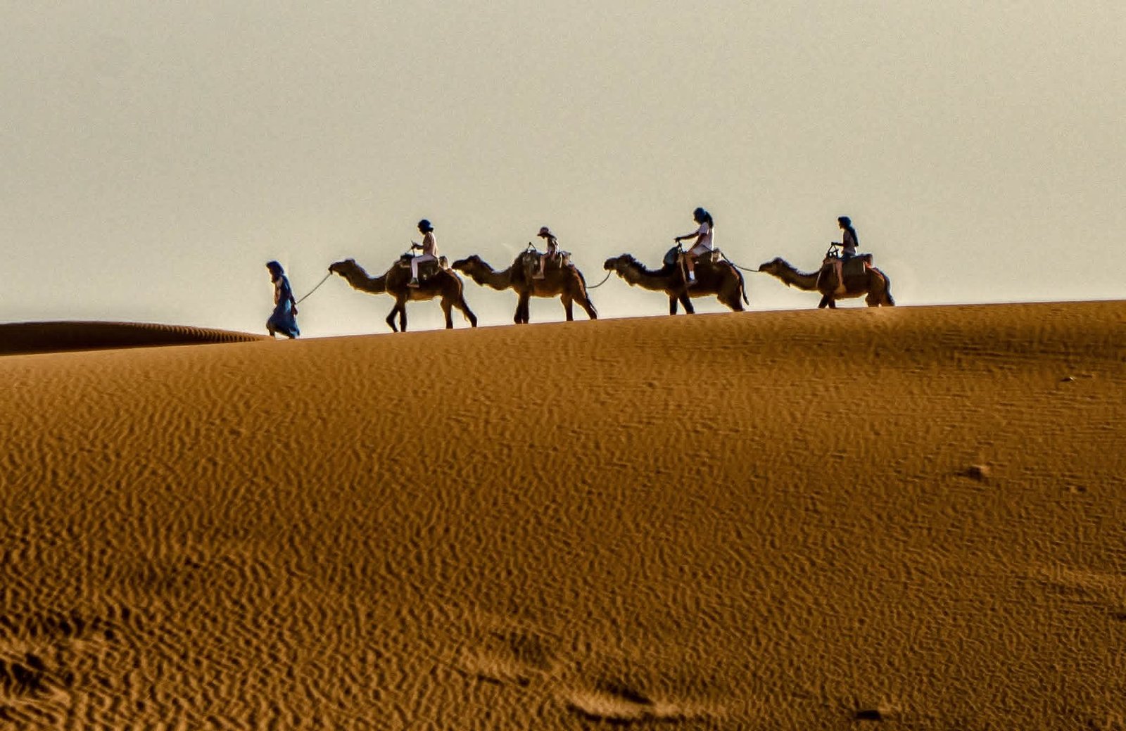 1-Night Camel Trek