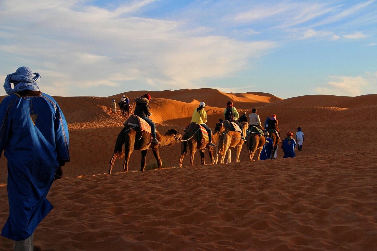 Camel ride experience