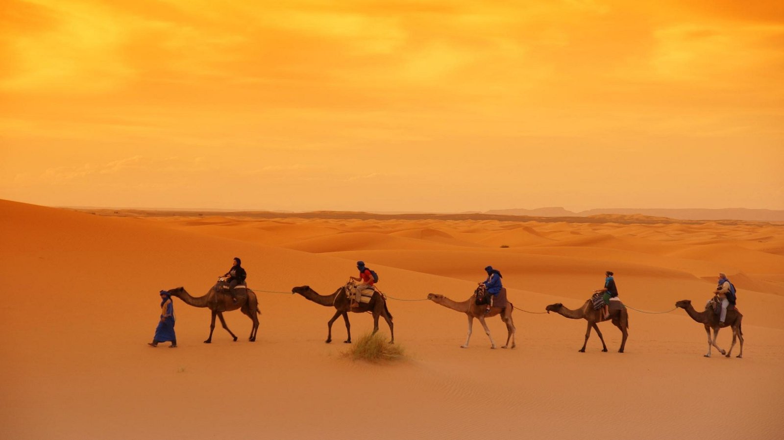 Camel Rides in Erg Chebbi Sand Dunes