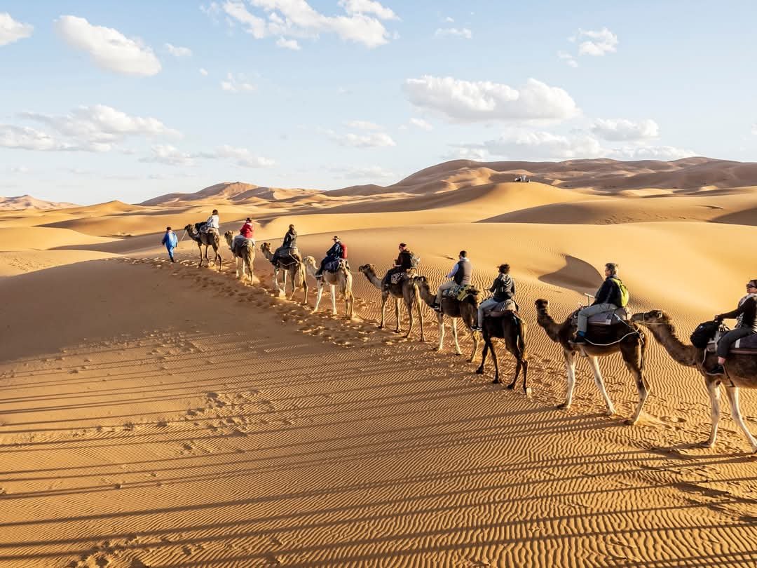 Camel riding in Erg Chebbi dunes Merzouga Morocco