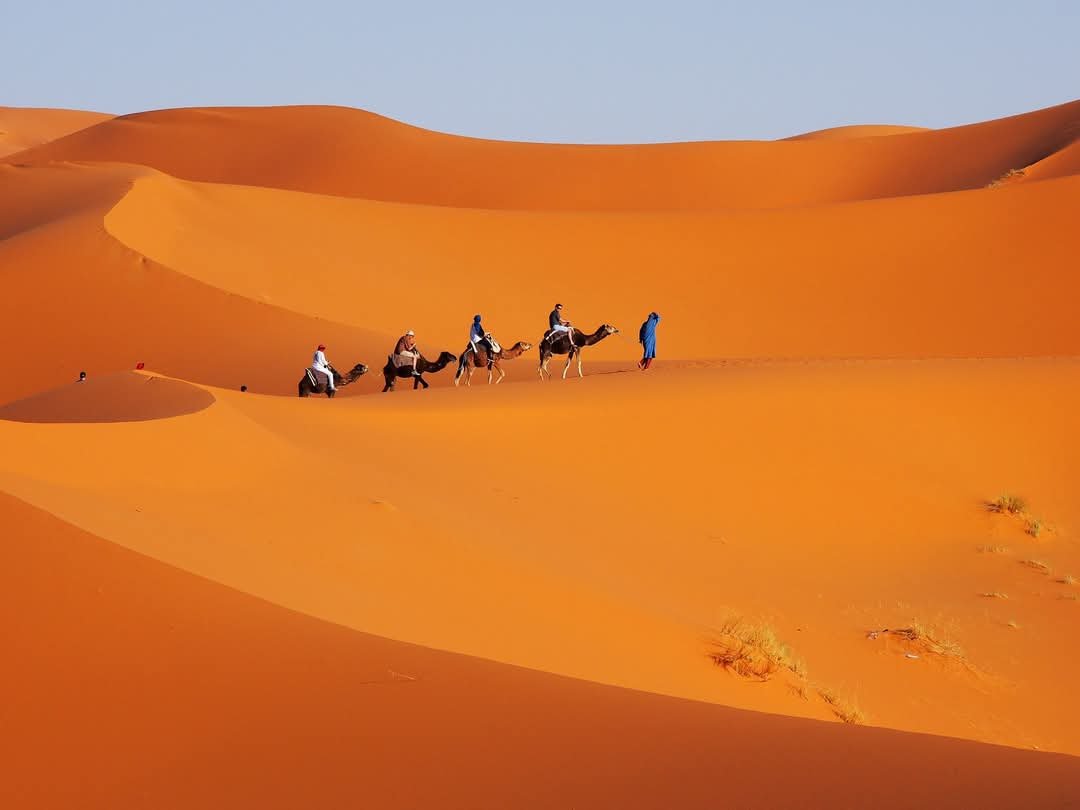 camel ride in the Erg Chebbi sand dunes, Merzouga