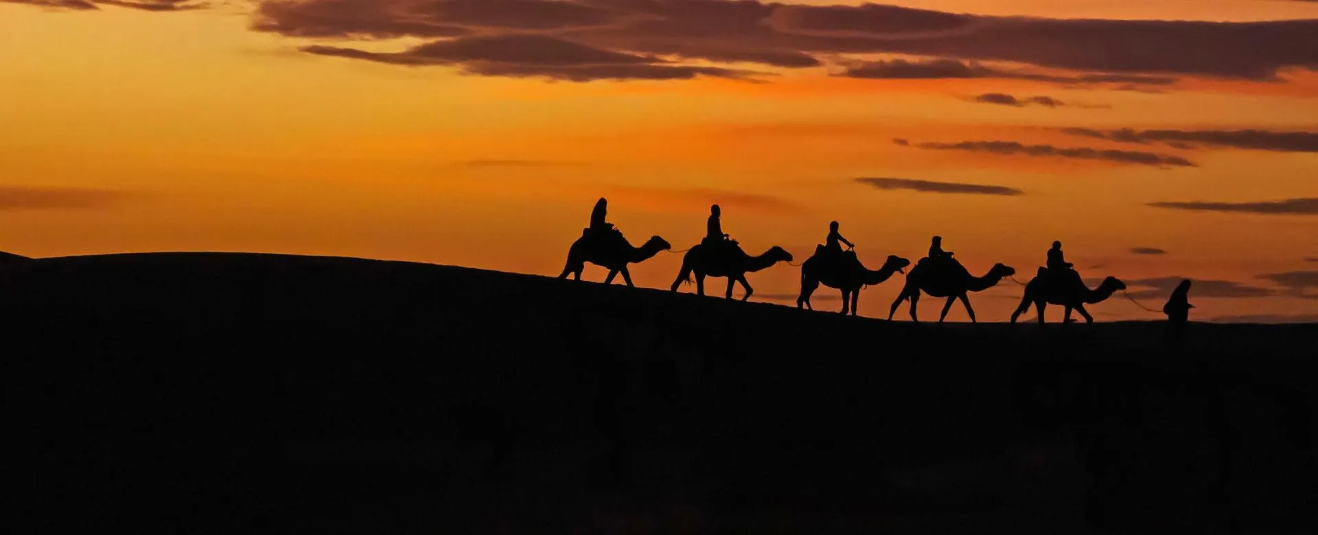 Todgha Gorge Exploration