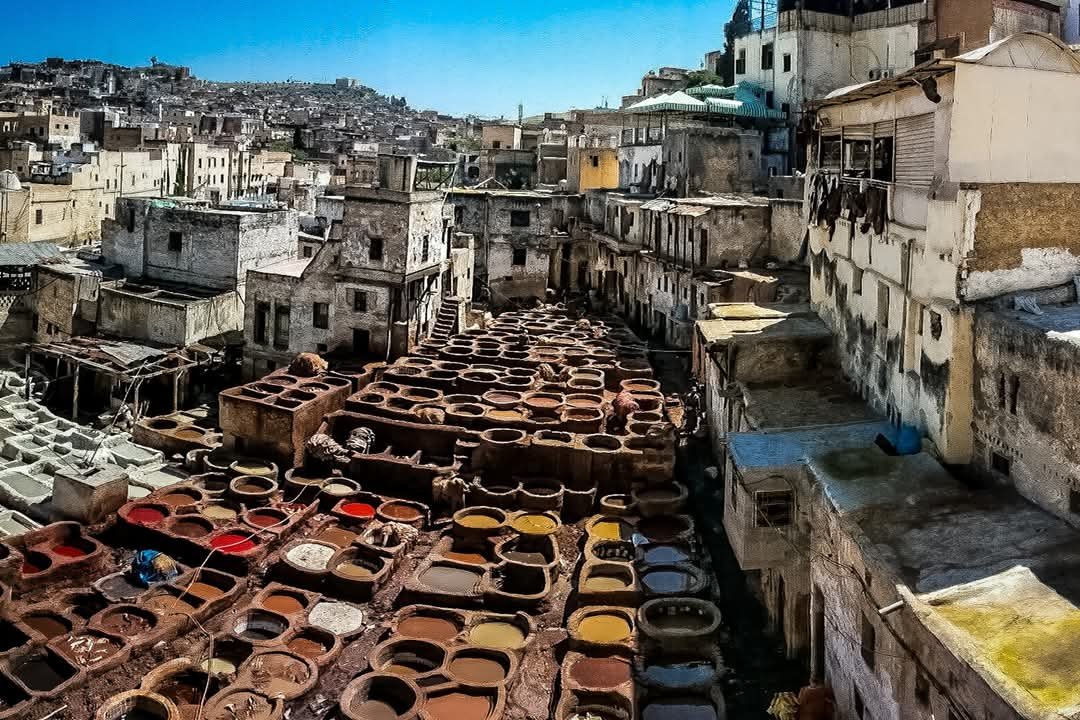 Camel ride experience