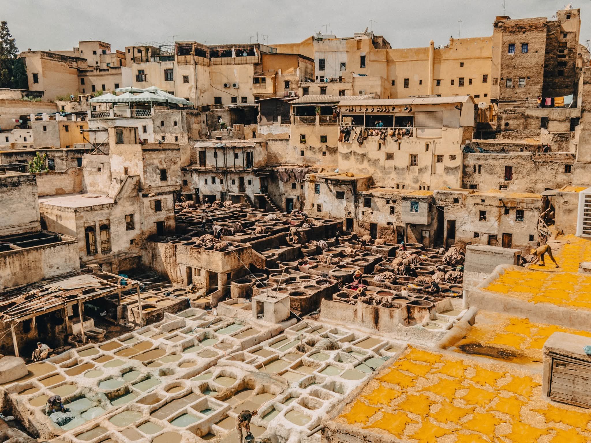 Chouara Leather Tannery in Fes