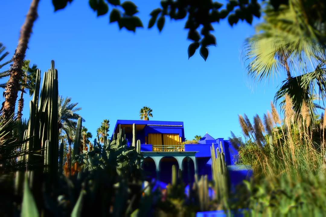 Majorelle Garden in Marrakech Morocco