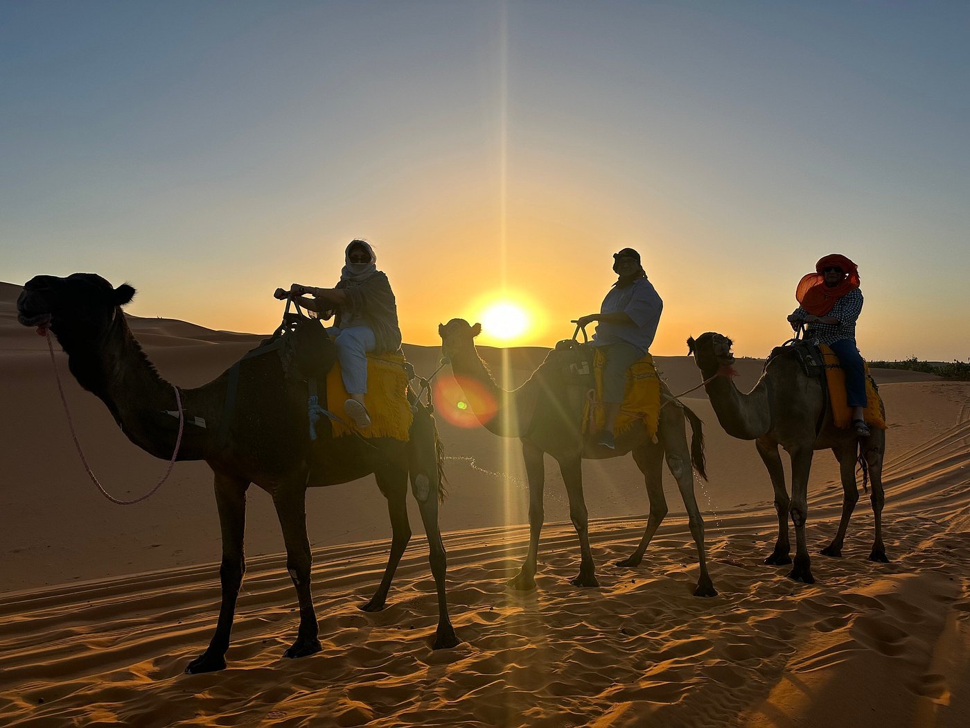 Camel caravan trekking through the Sahara Desert near Merzouga
