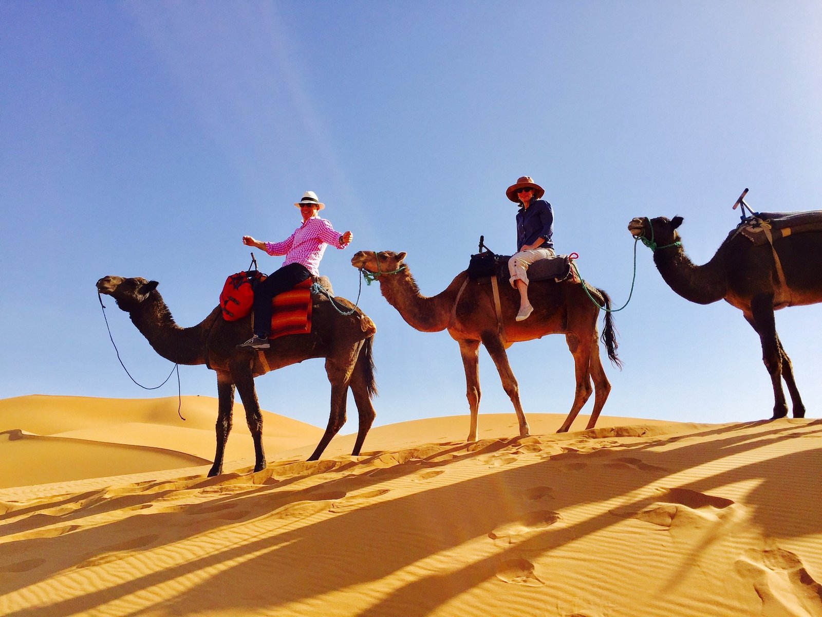 paseo en camello en las dunas de erg chebbi