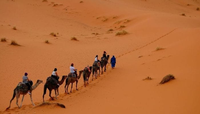 Tour-from-Marrakech-to-Fes-2-1.jpg