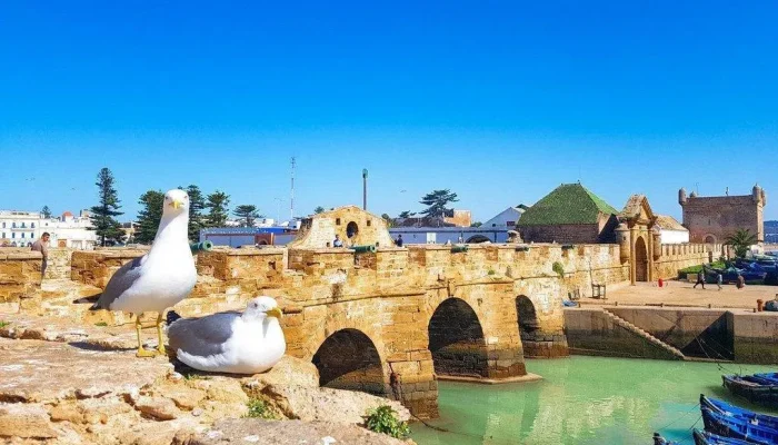 Essaouira morocco (4)