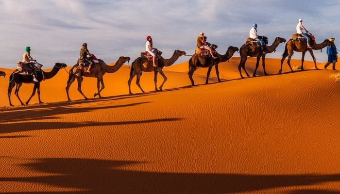Karawane in den Dünen der Sahara bei Merzouga (Erg Chebbi); Mar