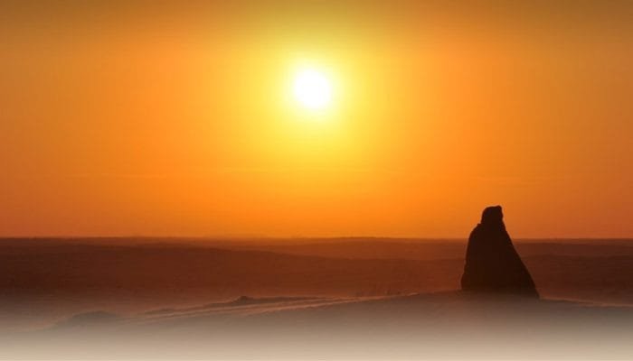 sunset