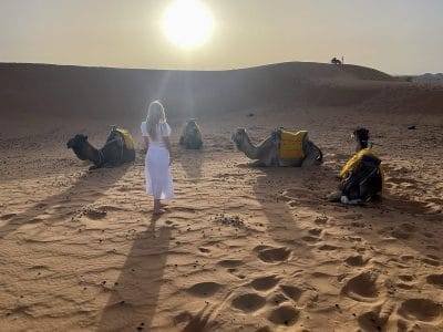 Sunset & sunrise Camel